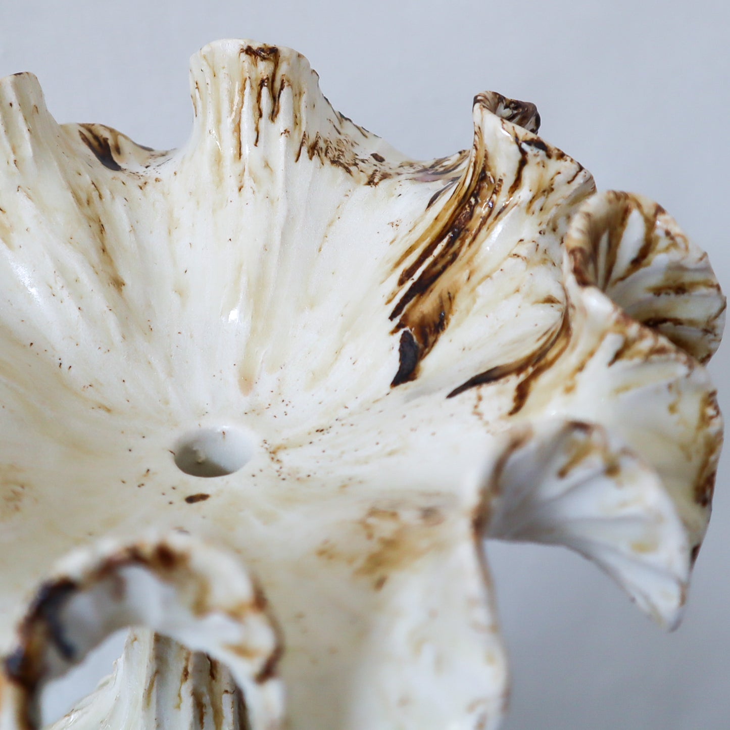 Winter Blume - Toffee/Gold