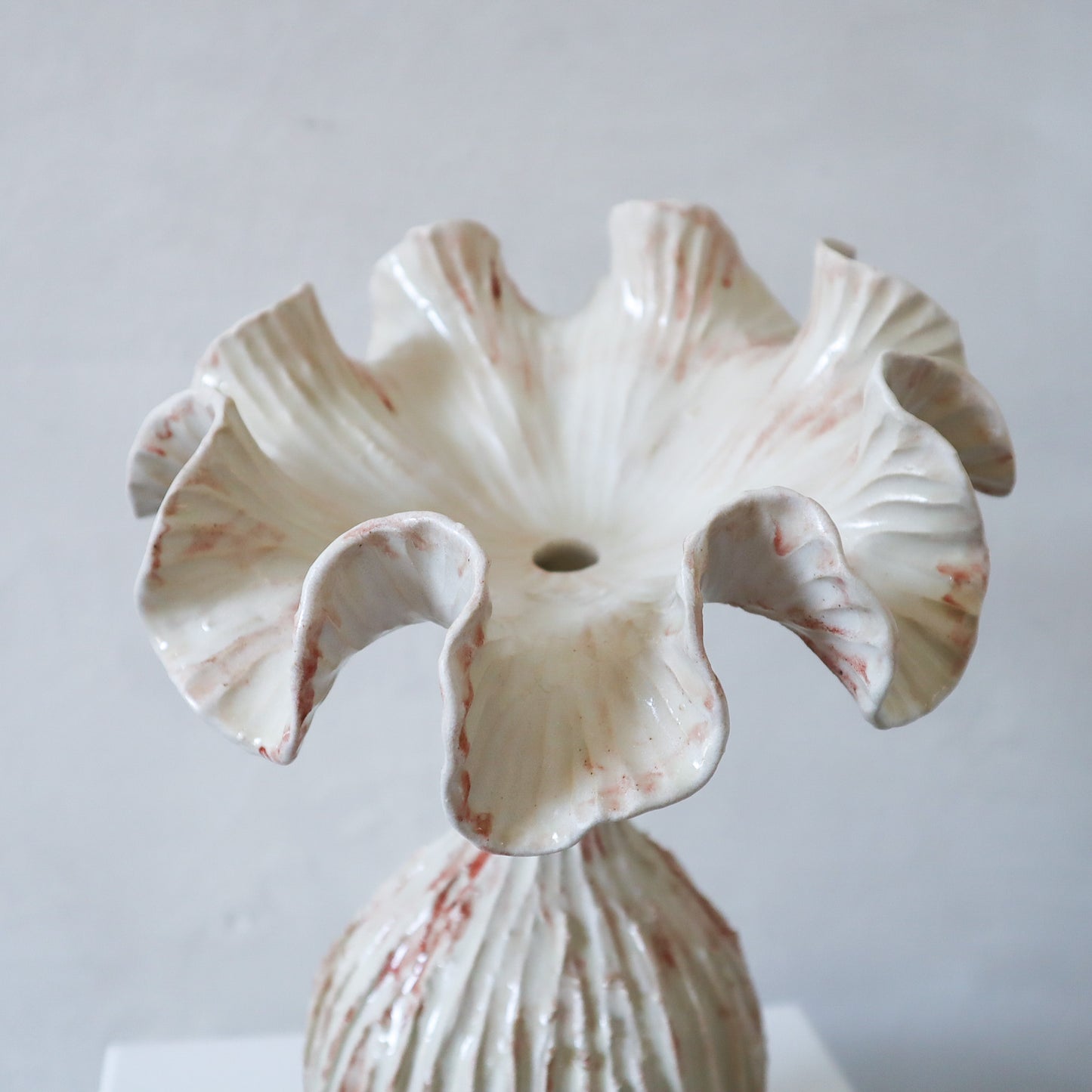 Winter Blume - Cream/Red
