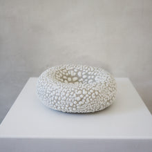 Load image into Gallery viewer, Curve Bowl - Pearl
