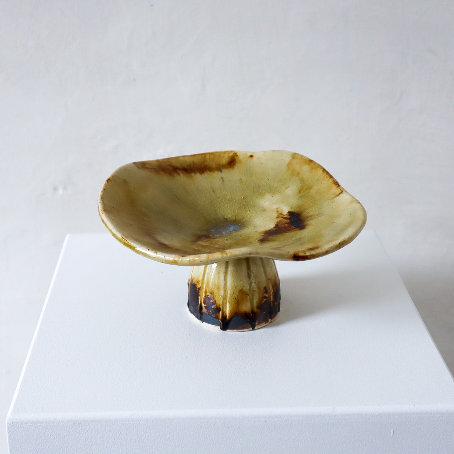 Elipse Bowl - Glossy Ash
